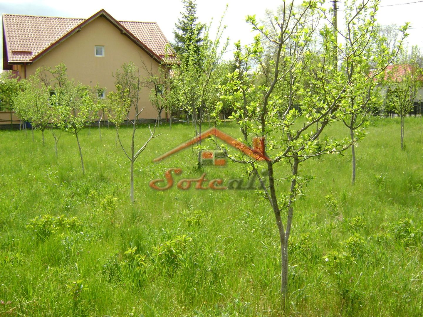 Teren de vanzare in Cornu 1183 mp - Poză 2