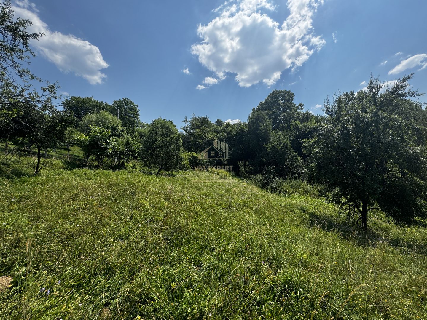 TEREN INTRAVILAN 2146 MP, ALBESTII DE MUSCEL, ARGES - Poză 2