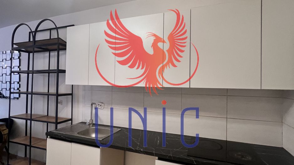 3 camere ,90 mp Brazda t, 3 bai, cu gradina proprie, parter - Poză 18