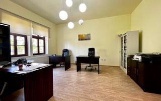 Apartament pretabil birou sau investiție, Central - Take Ionescu - Poză 1