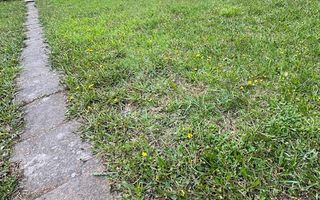 Casa individuala cu teren generos - Poză 5