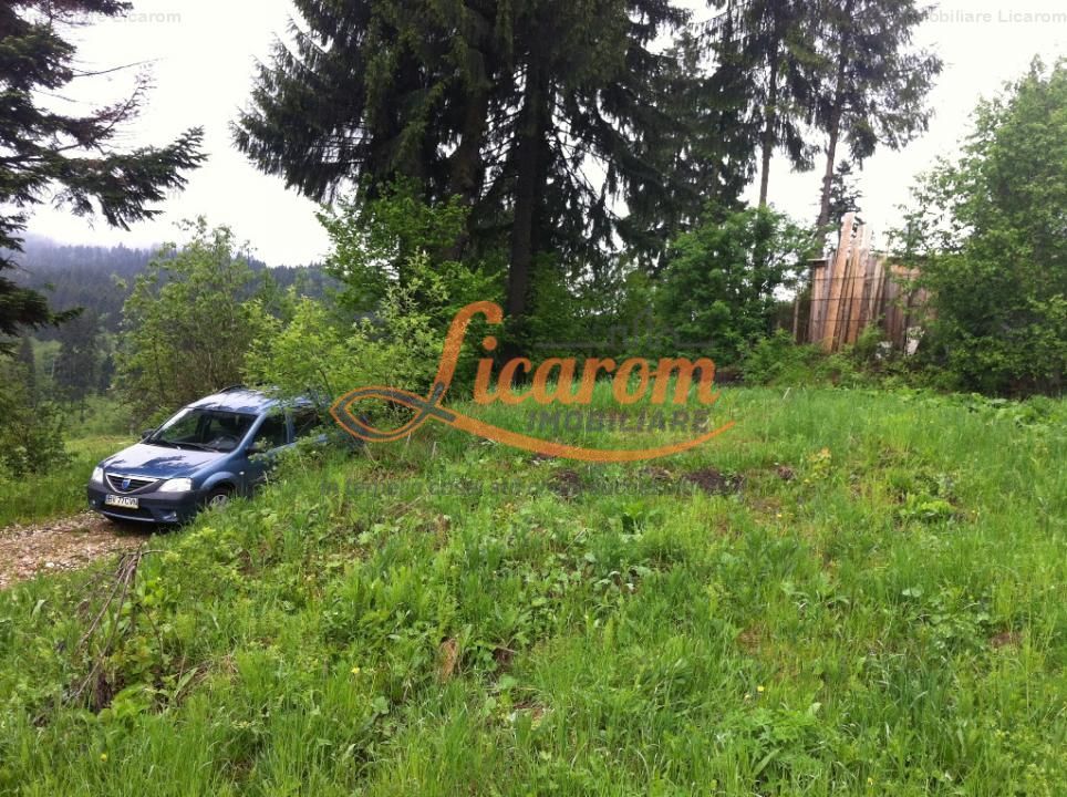 Teren intravilan Cotul Donului,pretabil Hotel/pensiune. - Poză 5