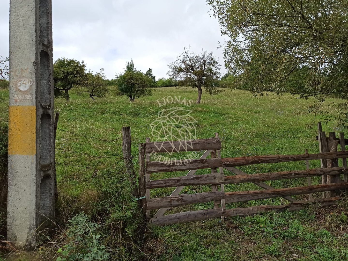 Teren intravilan 12600 mp-utilitati-ideal case, investitie-Livezile - Poză 5