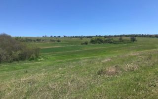 Spre vânzare , teren agricol, 15 ari, com. Bulboaca, Aneni Noi - Poză 2