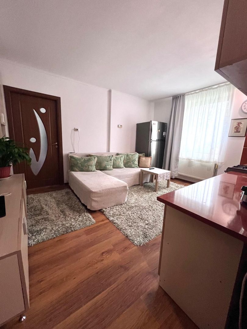 Apartament cu curte 2 camere - Mehala - Poză 3