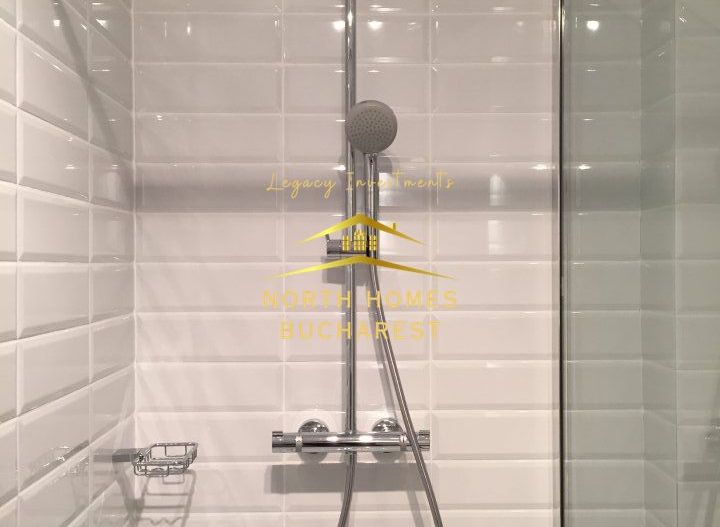 Apartament tip duplex in zona Capitale,  221mp: parter + demisol - Poză 11