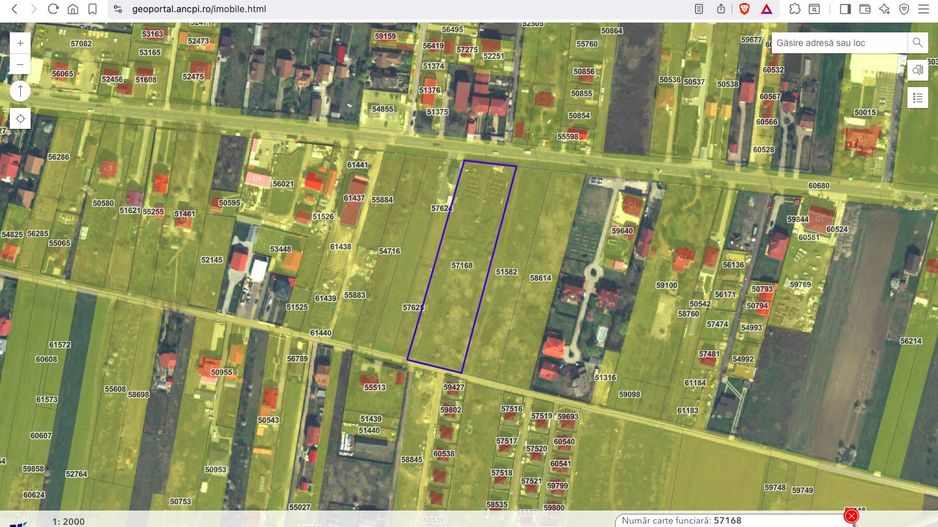 Teren intravilan construibil 7.500 mp Ciorogarla Ilfov - Poză 4