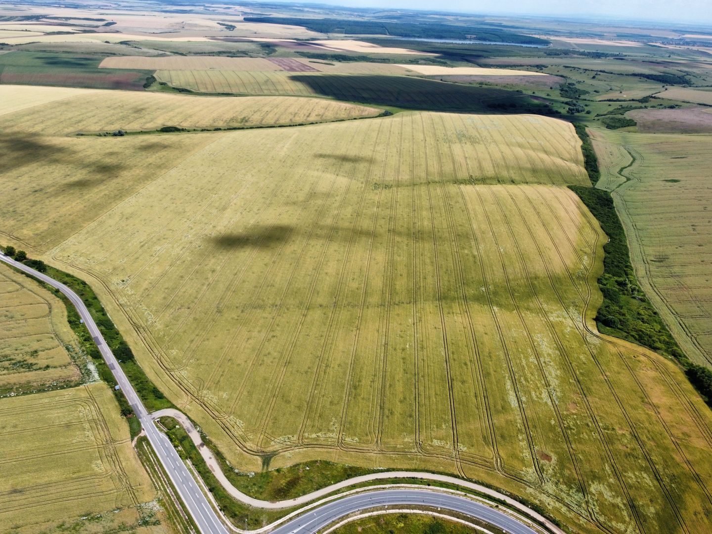 Teren la sosea Ortisoara - Autostrada A1 - Poză 19