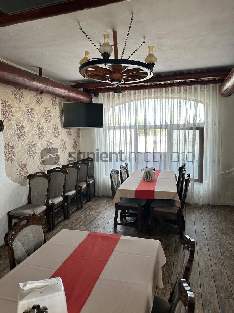 Sapient| Hotel Millenium - Poză 12