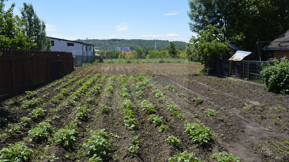 Casă Burdujeni/Suceava - Poză 28