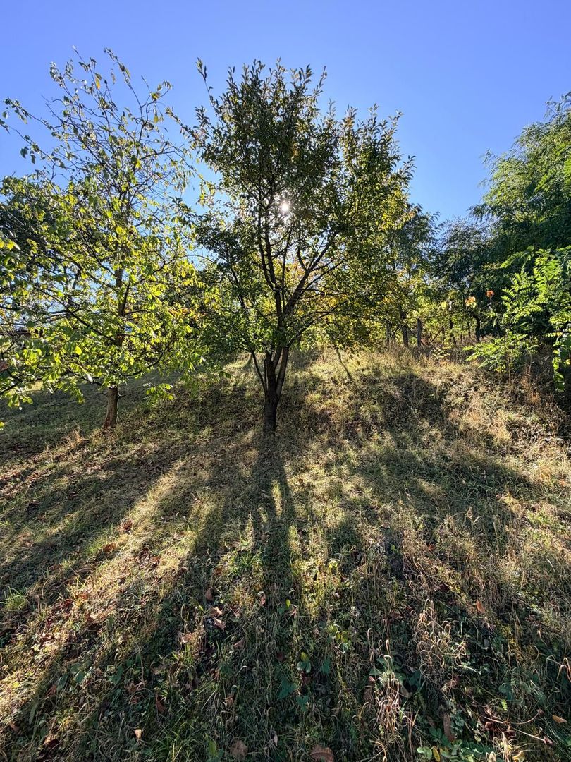Casa de vanzare 1500 mp Cugir zona linistita - Poză 11