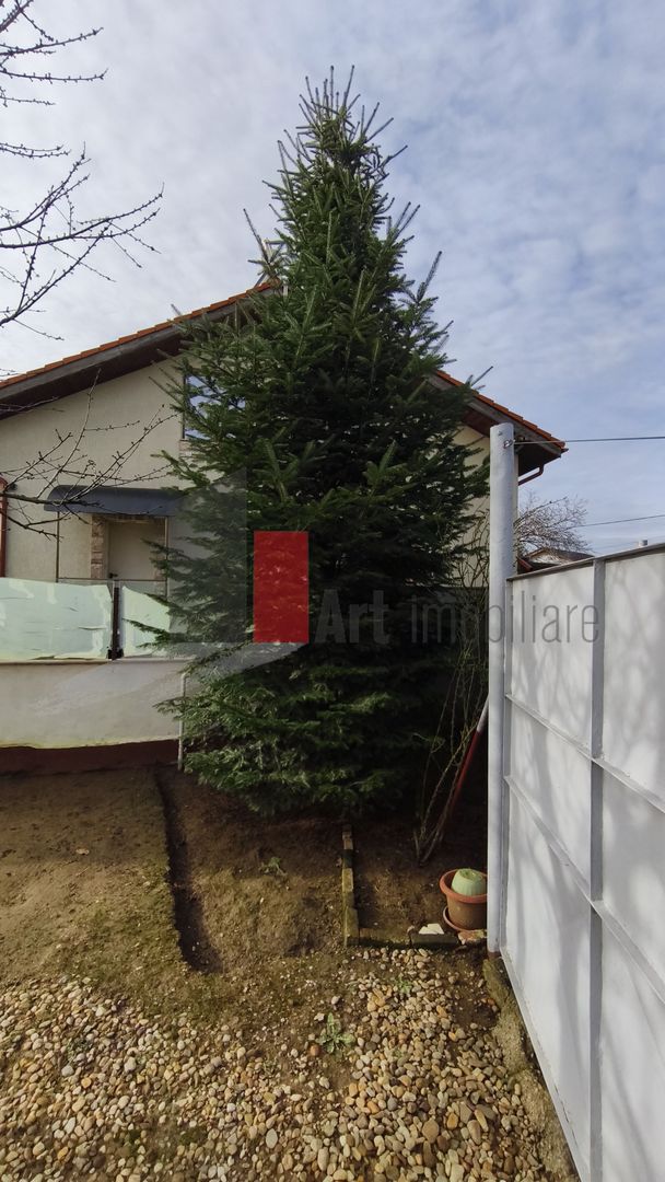 Casa curte cu teren 1600 mp Manolache - Poză 13