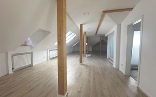 Inchiriere Vila Interbelica cu Curte - Birou - Dorobanti - Capitale - Poză 19