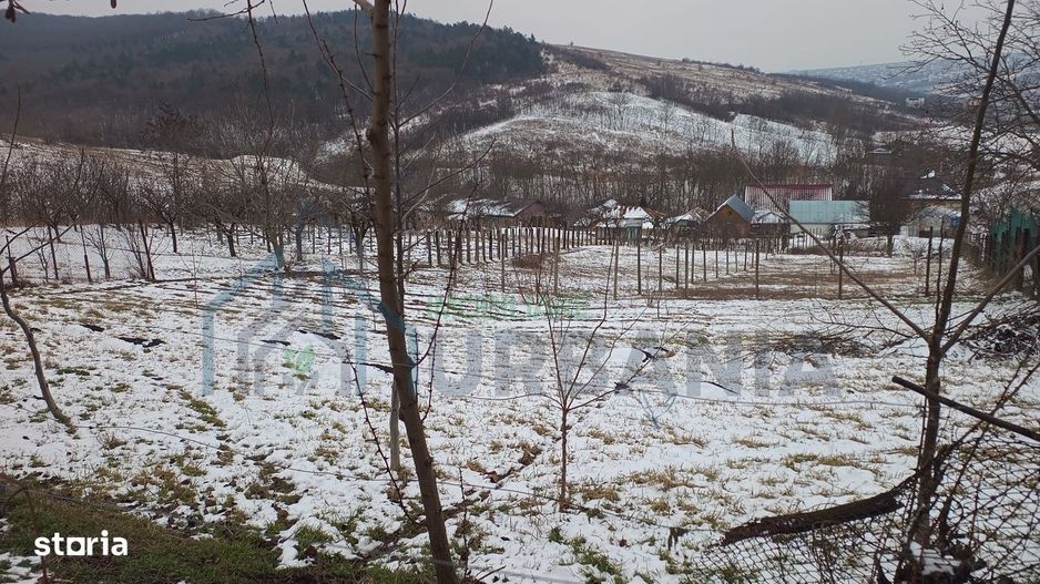 Teren intravilan 704 mp, acces asfaltat, priveliste Padurea Breazu - Poză 16