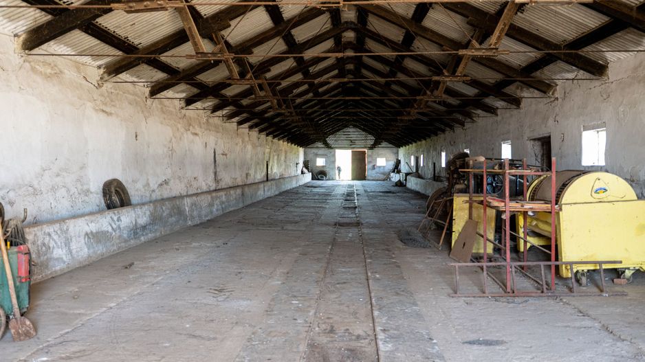 Spațiu depozitare 734mp și teren de 7.844mp Macea - Poză 6