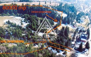 Teren 8 ha cu 15 izvoare minerale, lângă Câmpulung Argeș - Poză 10