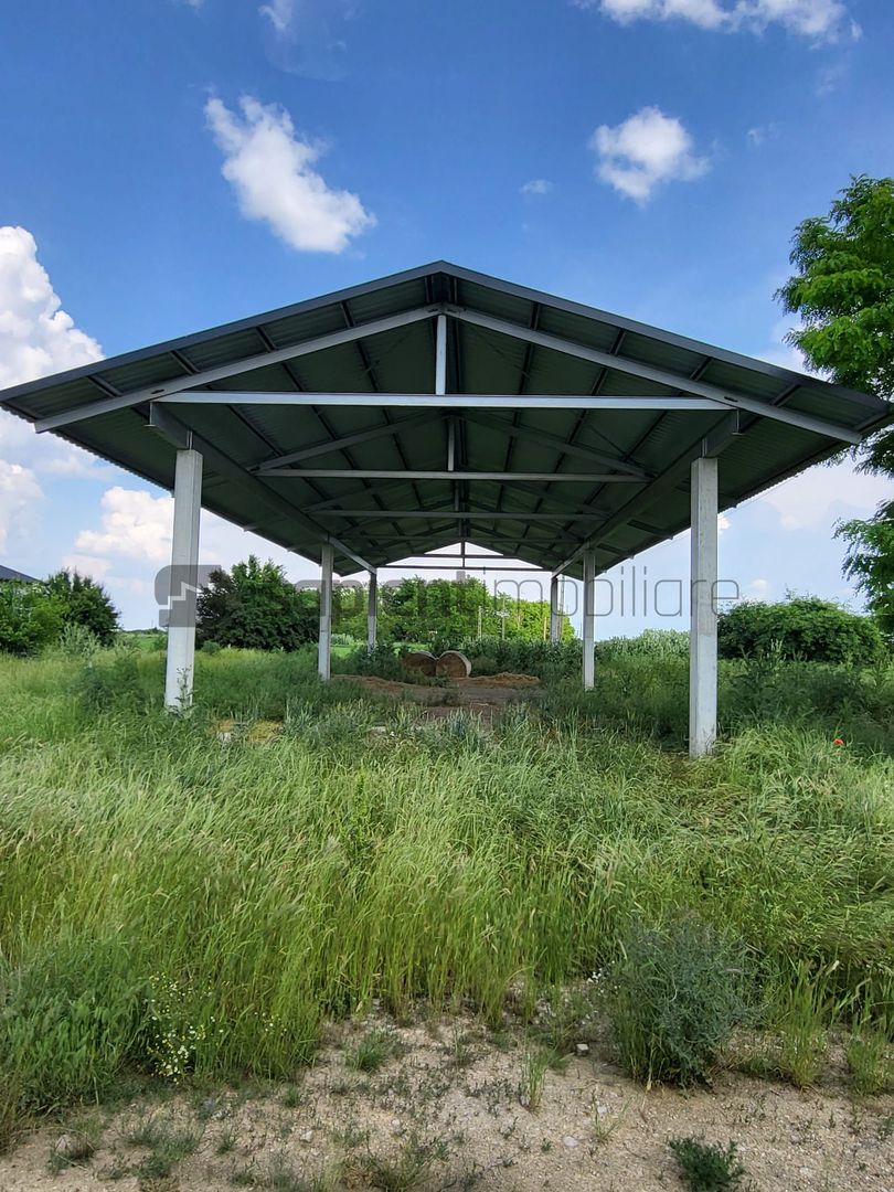 FERMA ZOOTEHNICA DE VANZARE - Poză 3