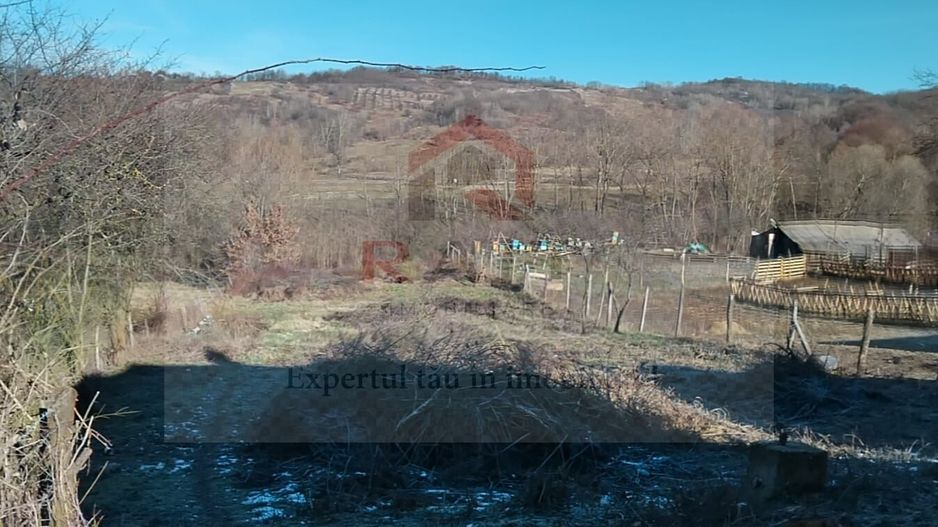 Teren de vânzare intravilan-extravilan  comuna Tigveni jud.Arges - Poză 5