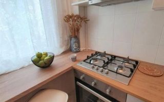 Garsoniera- Banu Manta, Kiseleff - Poză 12