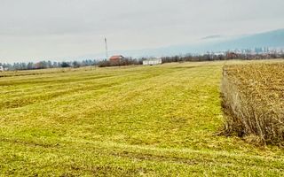 Teren | Oportunitate de investiție | 859 MP | Intravilan | Tălmaciu - Poză 4