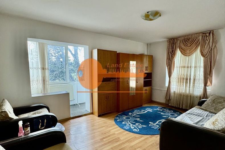 Garsoniera Gorjului ( 1 / 4 ) - Poză 3