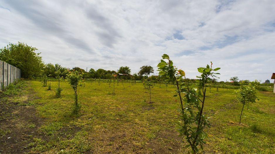 Clădire nouă cu destinație azil de bătrâni - Poză 10