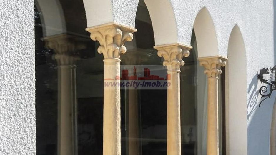 Vila Spectaculoase de inhiriat Bucuresti Central - Poză 30