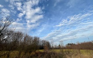 TEREN INTRAVILAN GENEROS | 72 ARI | GALANESTI - Poză 7