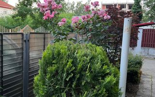 PIPERA | Iancu Nicolae - Gradina Zoologica | Vila 290 mp| Teren 387 mp - Poză 30