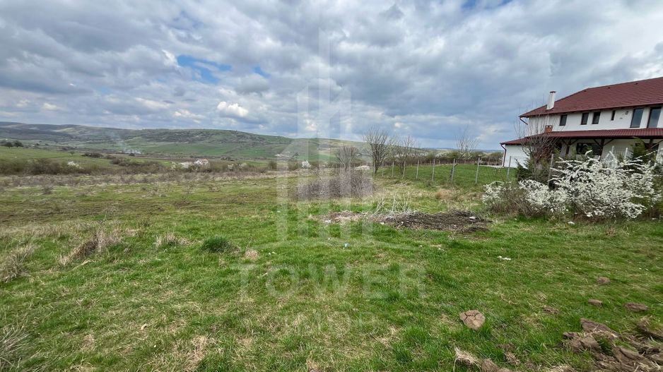 Terenuri de vânzare – Investiție cu potențial în Daia Nouă! - Poză 1