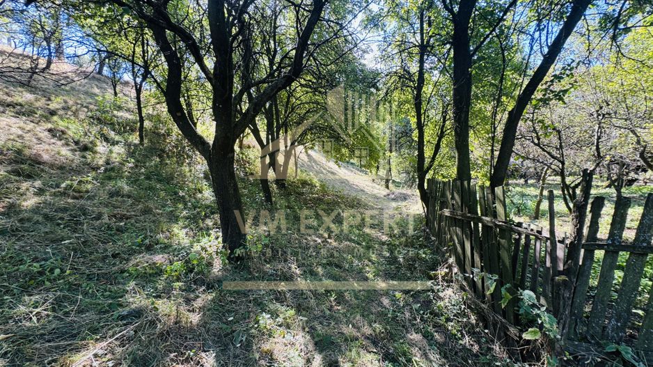 TEREN INTRAVILAN 3234 MP LEREȘTI VOINEȘTI ARGEȘ - Poză 29