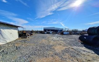 Teren / Platforma 1000mp de inchiriat | Mosnita Noua | Albina - Poză 6