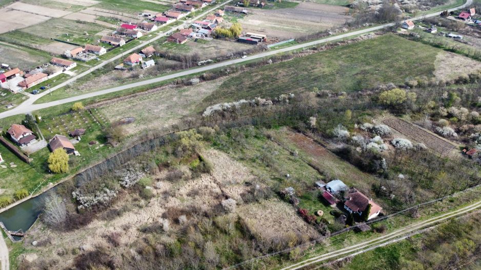 Teren intravilan Balint 22.500 mp - Poză 5