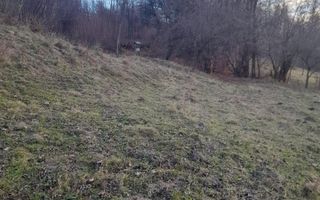 TEREN INTRAVILAN 5461 MP, BUGHEA DE JOS, ARGES - Poză 9