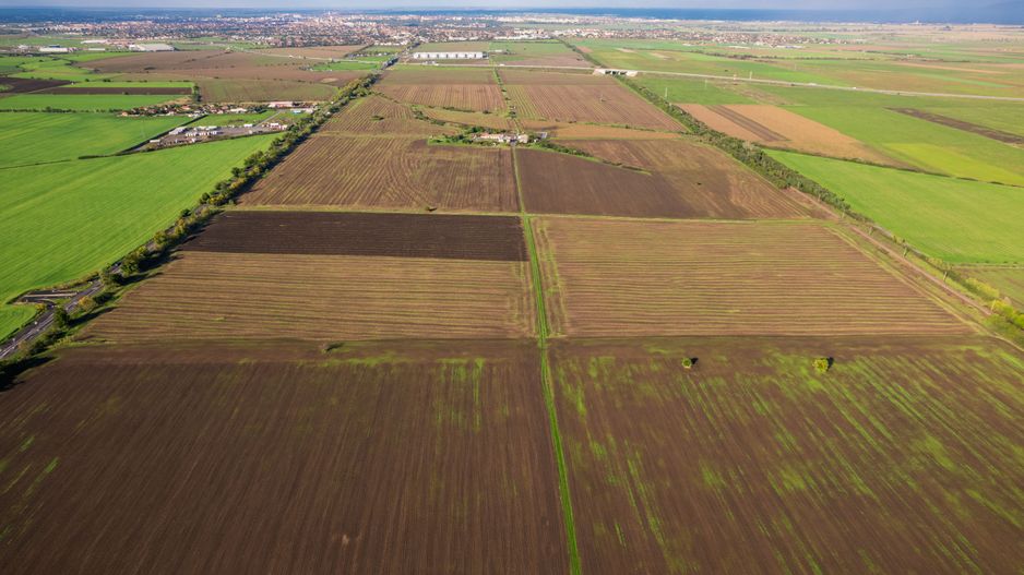 Teren de 100000 mp în Arad - Poză 5