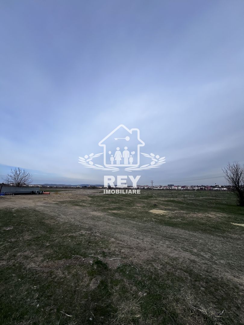 Teren Arabil Turnișor - Spre ferma de pui - Poză 2