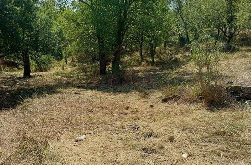 CASĂ IABLANIȚA,JUD. CARAȘ-SEVERIN - Poză 12