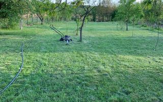 Teren 2000 mp de vânzare – Comana, deschidere la lac, aproape de Parcu - Poză 2