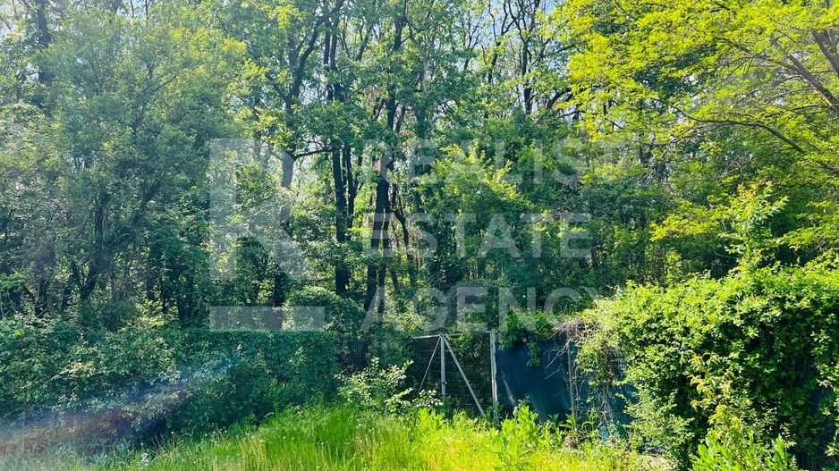 Vânzare, vilă, 6 camere, loc. Corbeanca, București - Poză 21