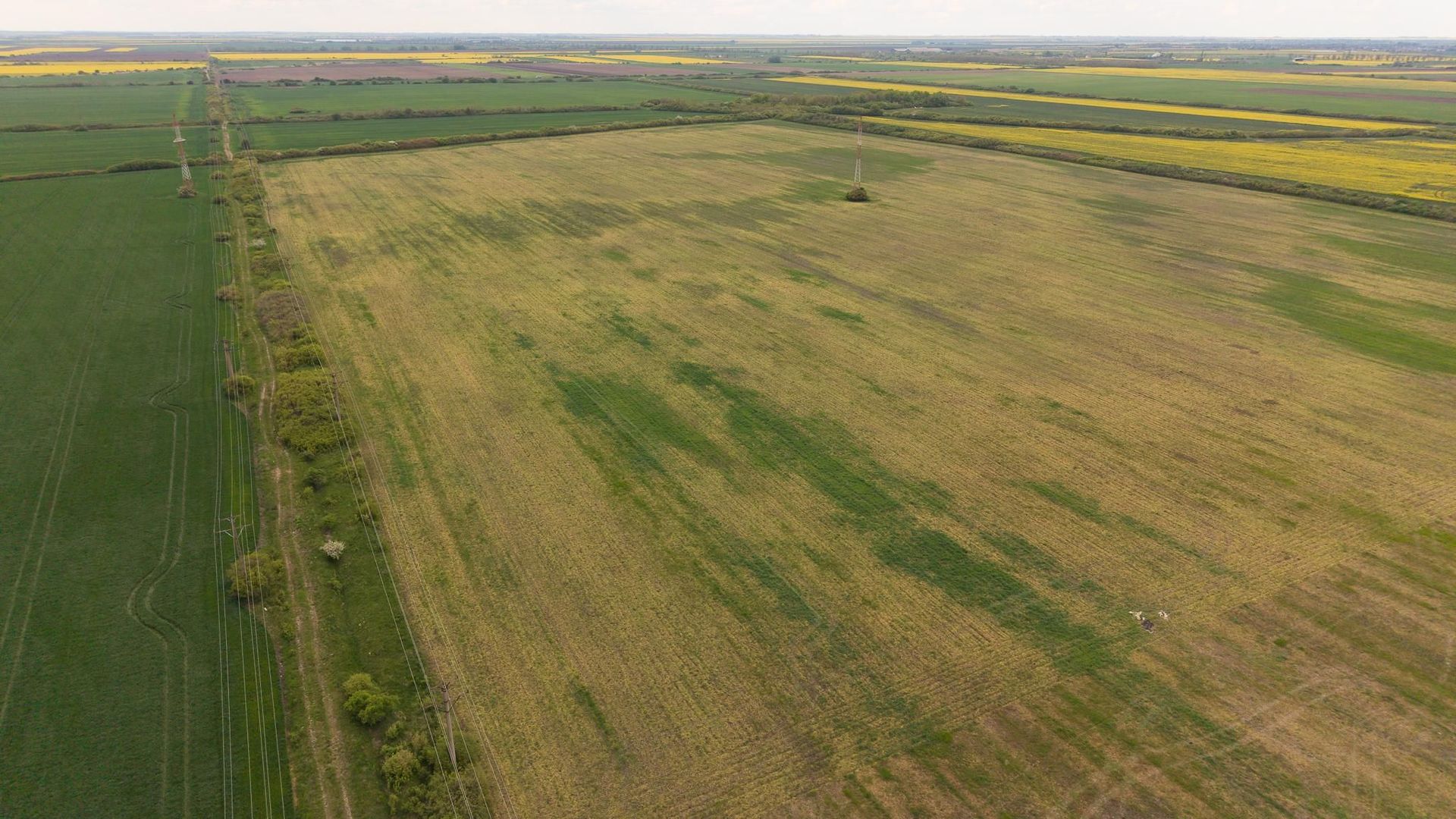 Teren investițional strategic 44.700 mp Arad Vest - Poză 13