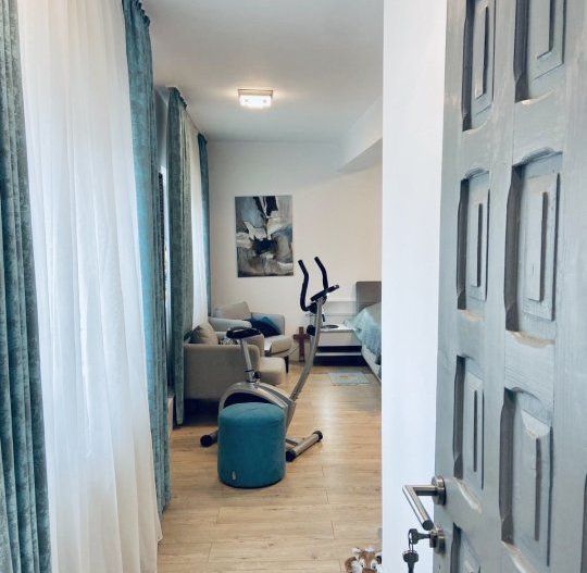 Vila / Spatiu Comercial Stradal 20m deschidere - Poză 4