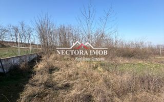 NECTORA IMOB-Teren Intravilan Lac Paleu, 886 mp, Front 27 ml,Utilitati - Poză 1