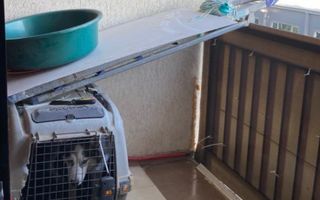 VANZARE 3 CAMERE | OXY RESIDENCE | SOSEAUA BUCURESTI-MAGURELE - Poză 14