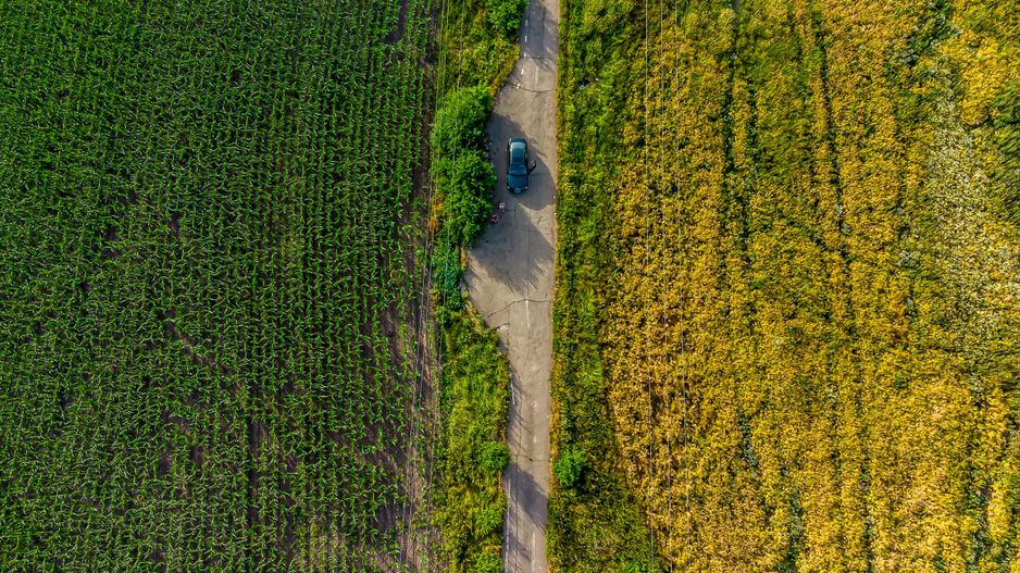 Teren pentru investiție DN7 - Poză 4