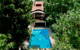 Casa/Vila Premium de vanzare Lacul Snagov / ponton / piscina / barca - Poză 1