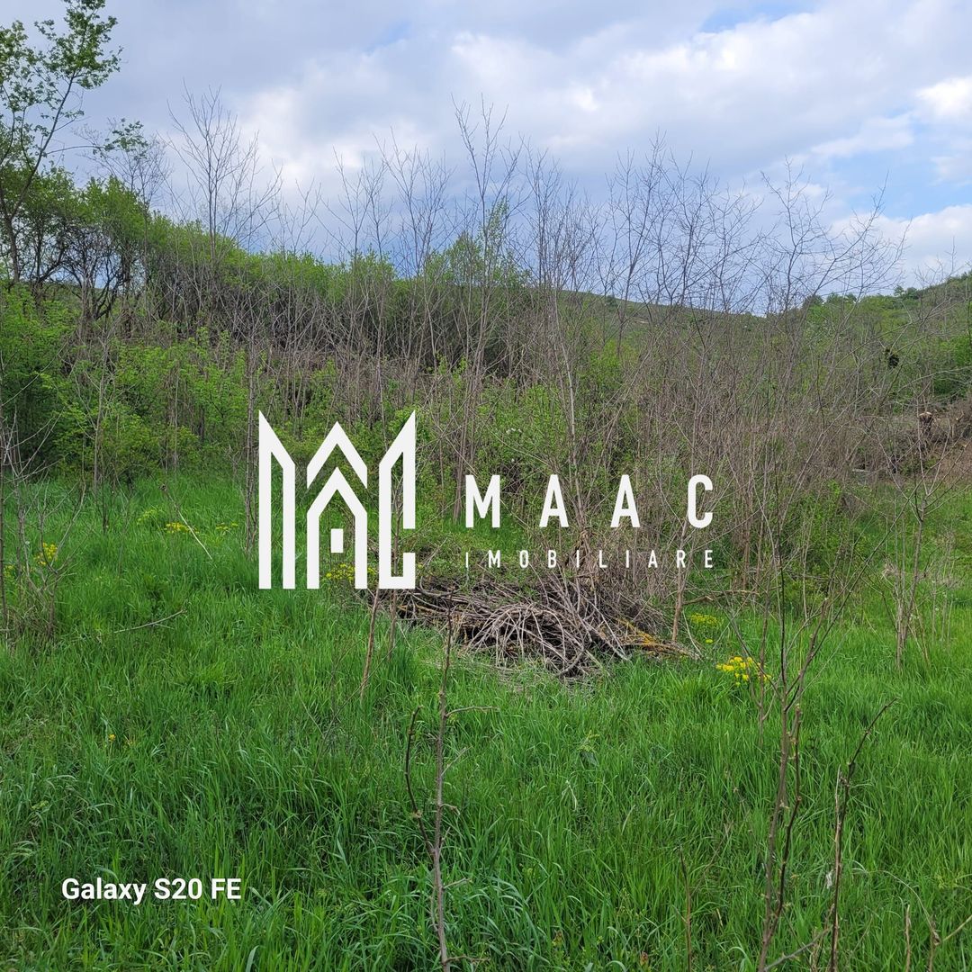 TEREN DE VÂNZARE I SLIMNIC I INTRAVILAN - Poză 2