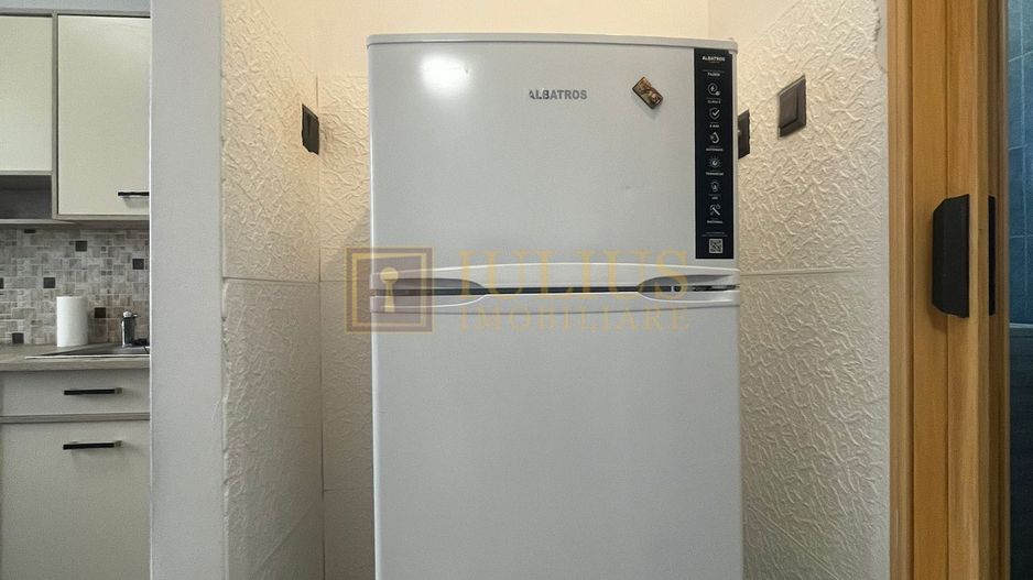 Aproape de UMFT, o camera, pet-friendly. - Poză 4