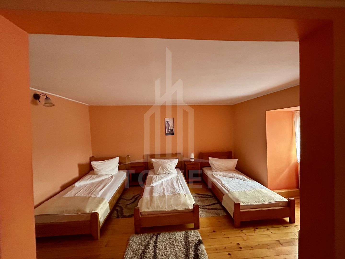 Pensiunea Polyana – business la cheie în inima stațiunii balneoclimaterice Bazna - Poză 7