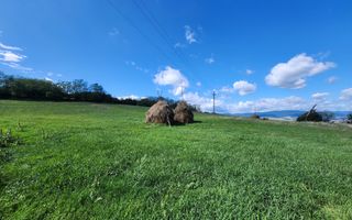 De vanzare 2965 mp teren intravilan, toate utilitatile, Oarda de Sus - Poză 6