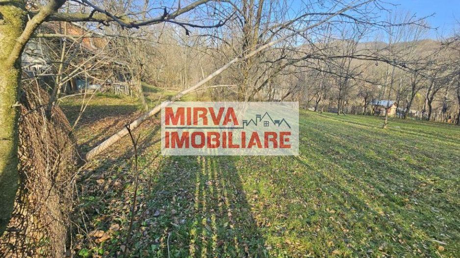 Vanzare casa plus anexa, teren 3843 mp, in Sat Pietriceaua - Poză 16